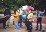 nara2.jpg